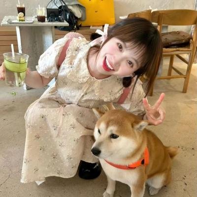 爱上费加罗